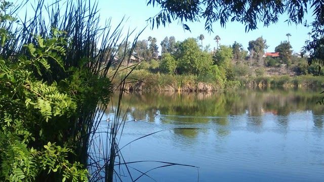 Guajome Regional Park